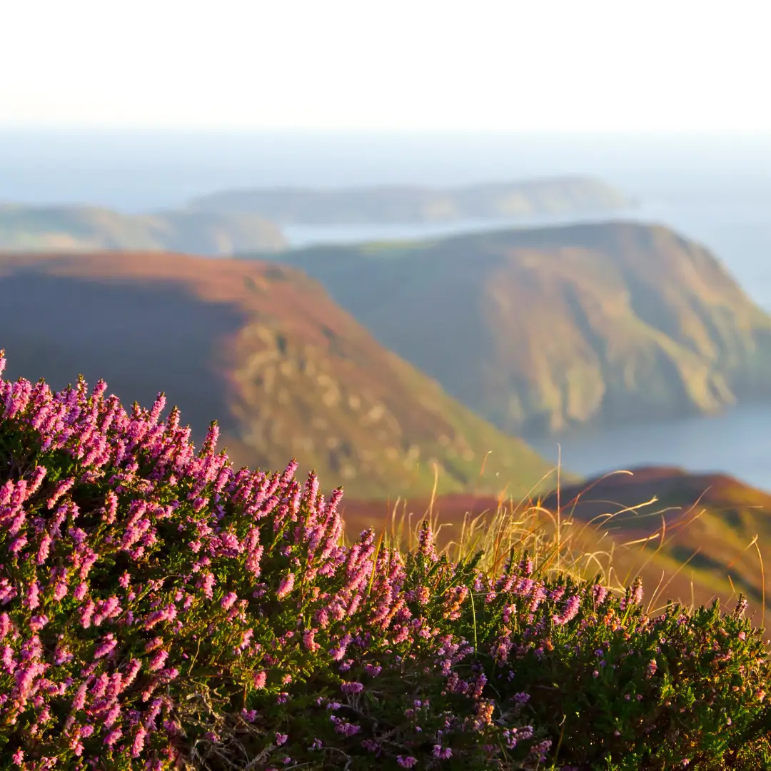 Peaceful coastal view in the Isle of Man